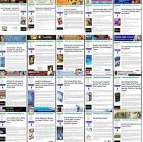 Product picture 24 Pre-Made High Gravity Clickbank, Adsense and Amazon Sites
